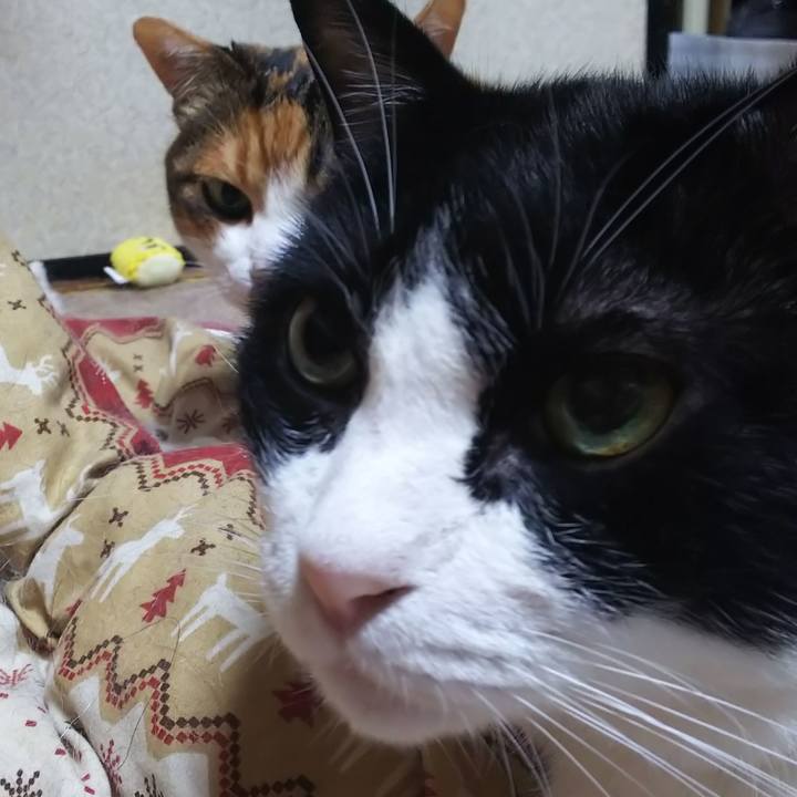 B32c0e7e c20c 480c bcf6 ec47e994fcbe 1568756753175