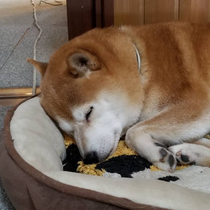 B32c44a6 3832 4ffc 8a24 e6b26fdcdcc4 1601682553558