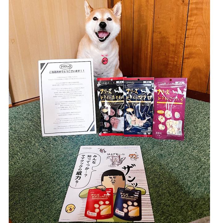 B32c60e1 22c0 4fab b556 47b9ecb56887 1719465368927