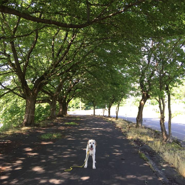 B32c6cc7 beea 421f ace8 188dd2e84c11 1526949800694