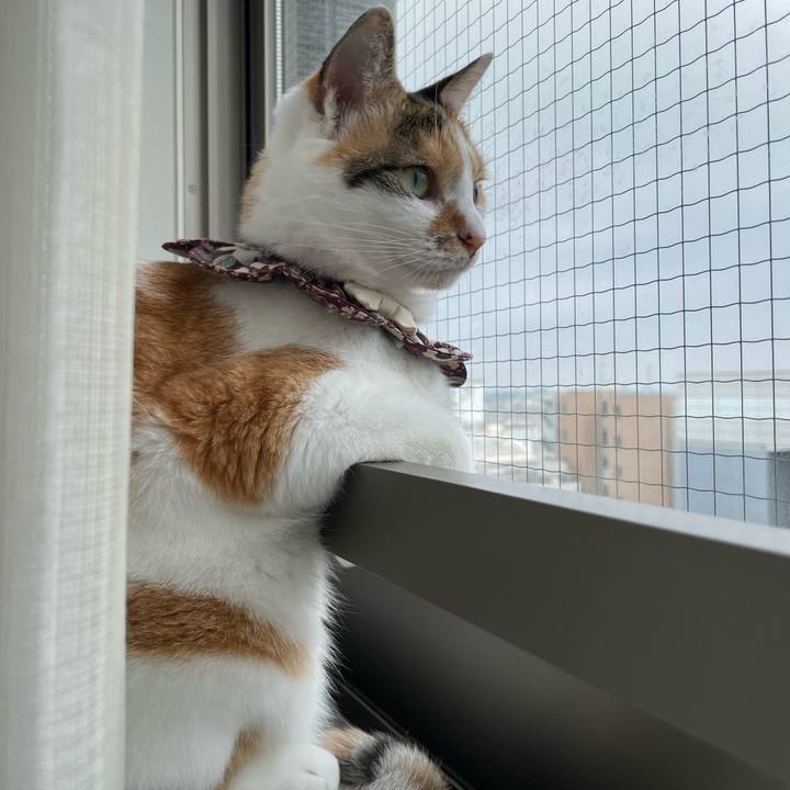 B32caee0 4a9e 4329 9da1 5ac9912c84c5 1757461037406