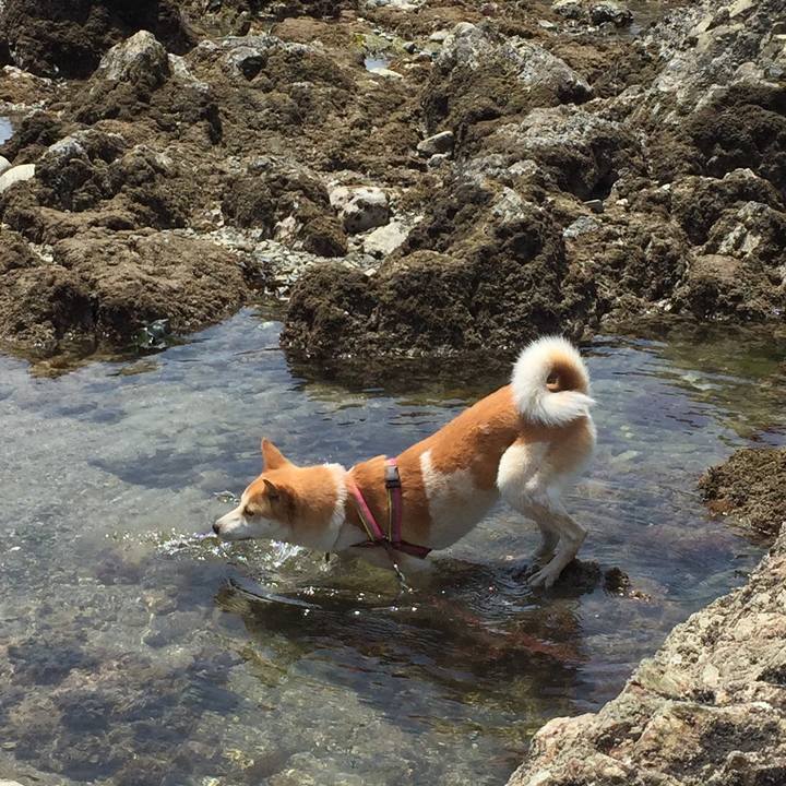 B32cd178 8a7b 4010 a0d7 198ccf2501f2 1546174193279