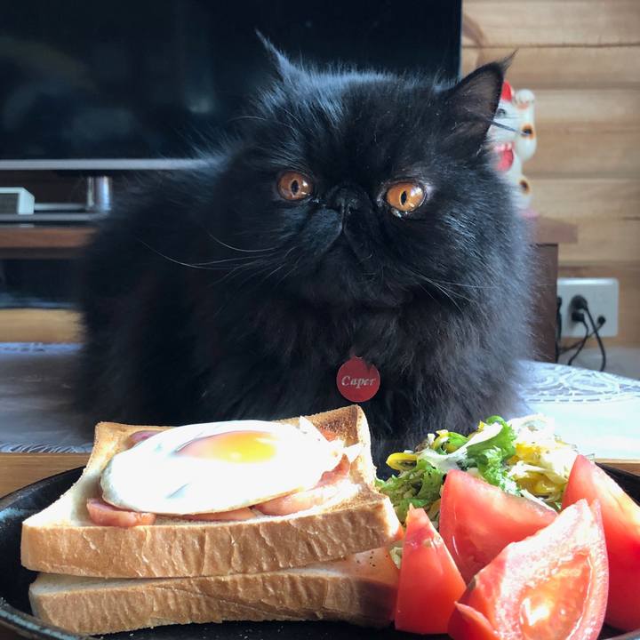 B32cdd77 d7d9 46d9 ac23 5dd3baee3531 1550973736542