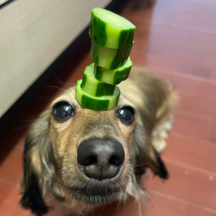 B32cff32 46bb 4541 a105 233245e45cf6 1690707060998