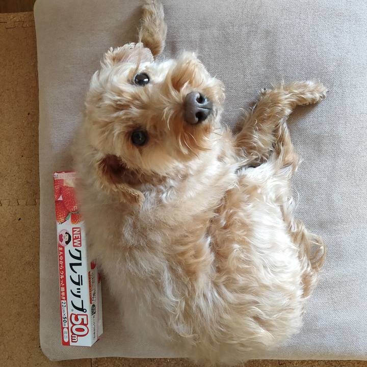 B32d3740 6740 43e4 9512 b71640f09591 1585090964514