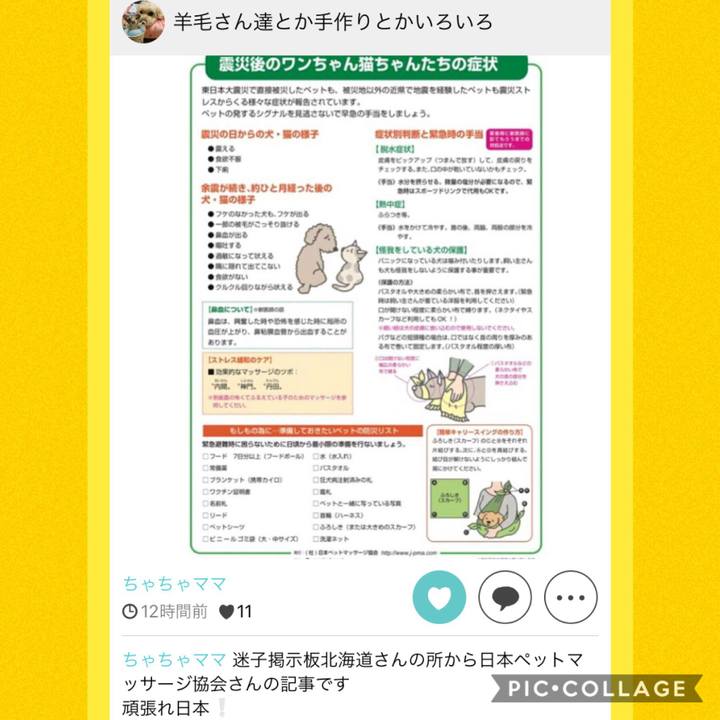 B32d5f36 ca3c 4d9c 8ca0 3d5d4fe2de04 1536285925135