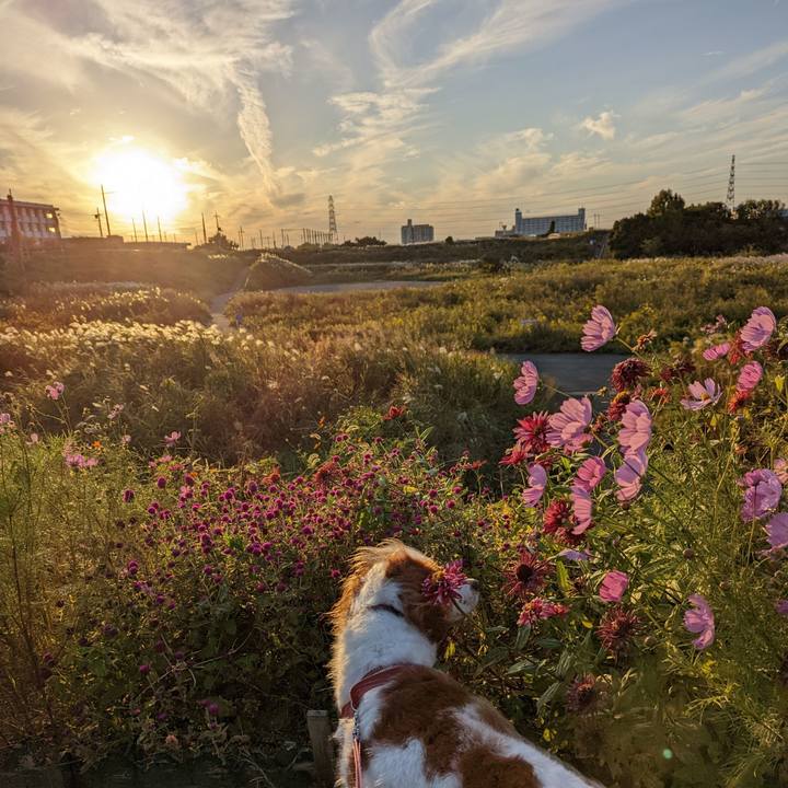 B32d6359 6856 4231 af0e 7289389c3729 1667043694874