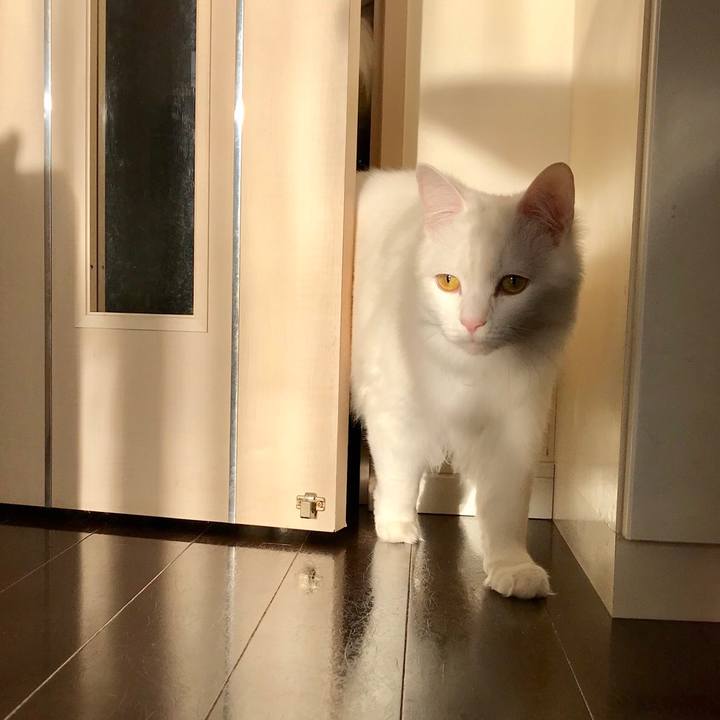 B32d86a7 6a37 4db7 a511 abb835ea6741 1547205525775