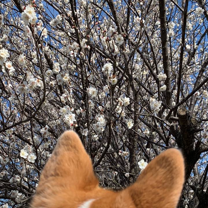 B32da13d 75e6 4833 b961 41e6551c5ee1 1677646850982