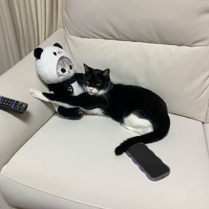 B32daff1 59c2 4d31 b20b 3312e8da68b4 1740221497146