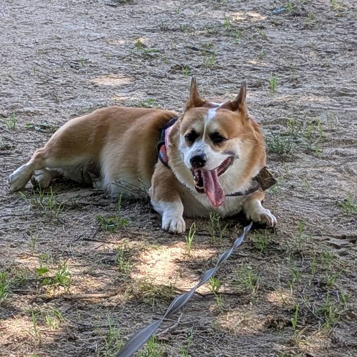 B32dc692 45e7 4aa8 b9ed 02b401dc755e 1750158457089