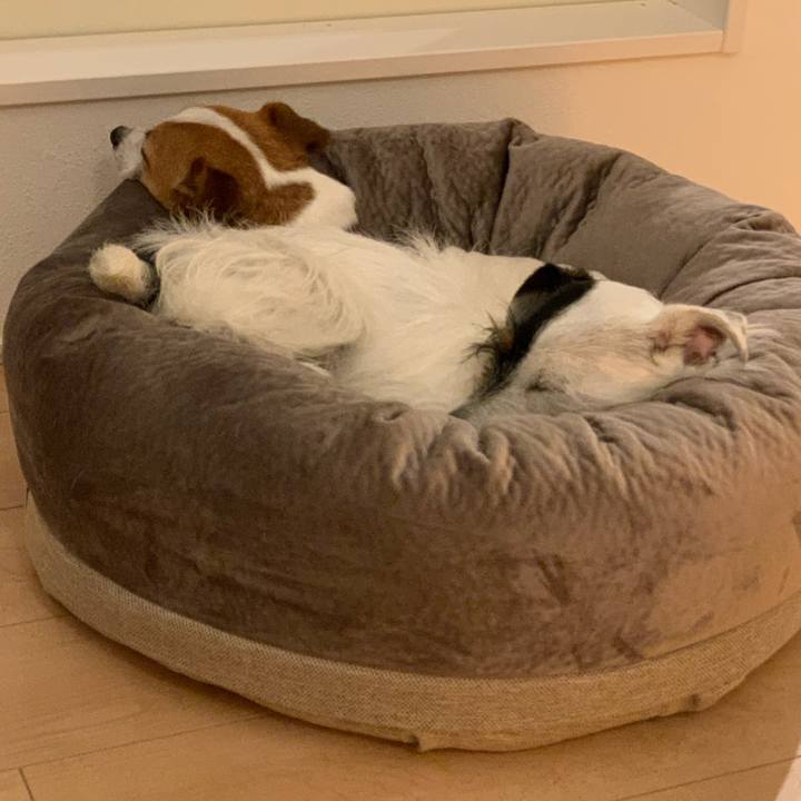 B32e5719 a930 4fe2 a5ea 4715d68c37d1 1583330581012