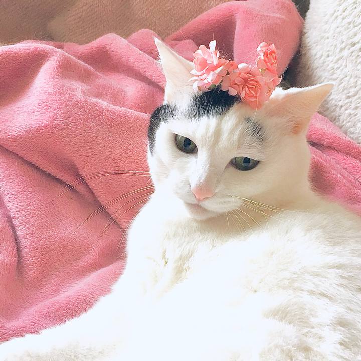 B32e6492 b8c6 4433 82e8 2555555c4ad8 1582006164756