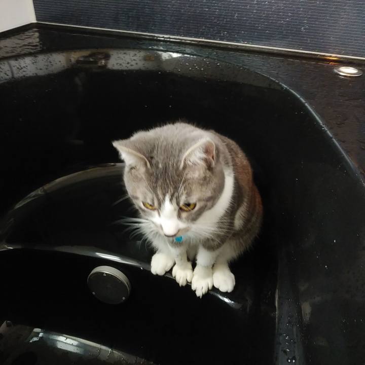 B32e689c 63c1 49d8 bb37 a17b2e912844 1579220827265