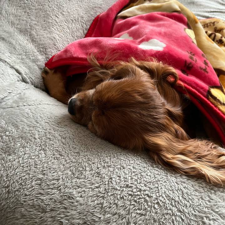 B32ea292 f152 4632 acf5 8f1440f05697 1706567204564