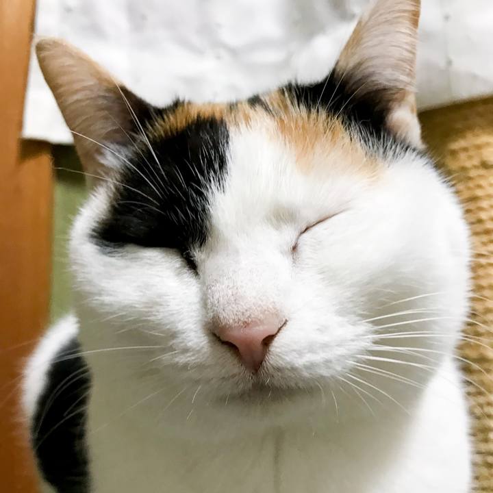 B32ea606 4f5f 440a b0ec ada332c8850b 1517888941158