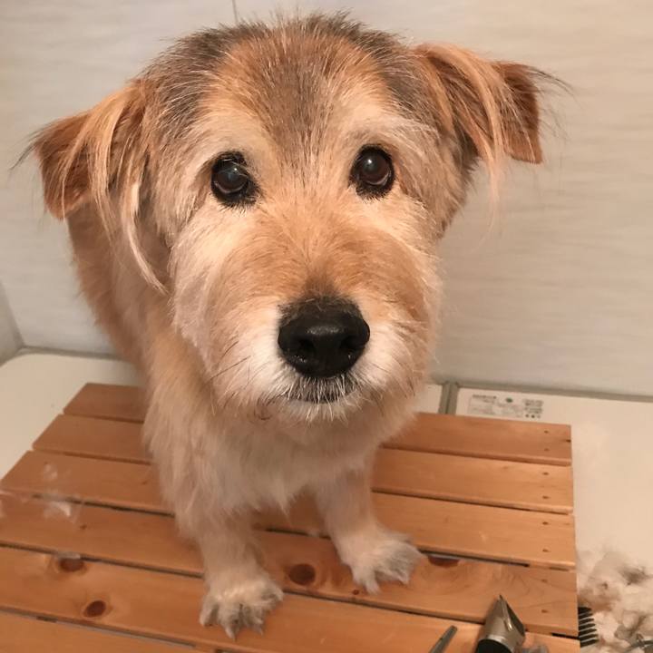 B32eb344 226b 49c8 b6bb be4f59390d29 1679206970961