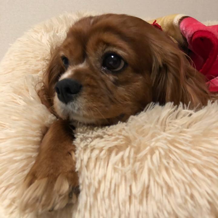 B32ede97 011e 4a4e 8c26 dec3cac9b338 1646950203668