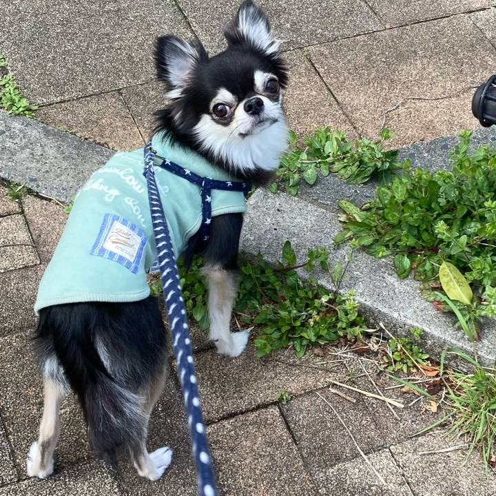 B32f107b 2334 4aa1 92f3 f4fbe4fab940 1647843166352