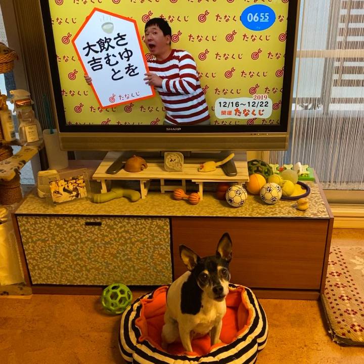 B32f2943 69c2 4f41 8a3c 7912d1efb032 1576450687668