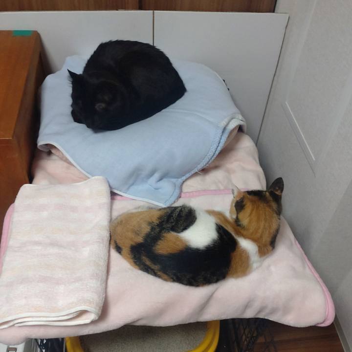 B32f50a2 69ce 4e37 9ab9 dc7debfabc11 1761292580977