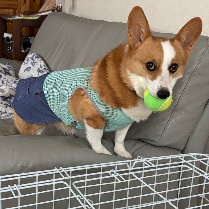 B32fccf9 63b0 4ec2 85e0 50db462f16ab 1758340429972