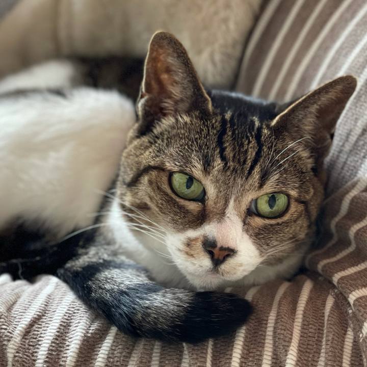 B32fd1f1 f040 4b47 a3b1 db6acb9a67a6 1615426961336