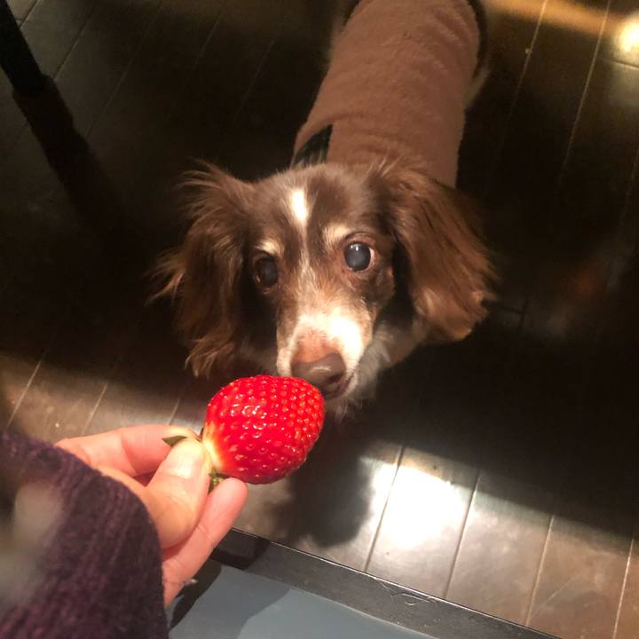 B32fd3f6 deb6 44ed 967c e33be2a09e55 1582028508744