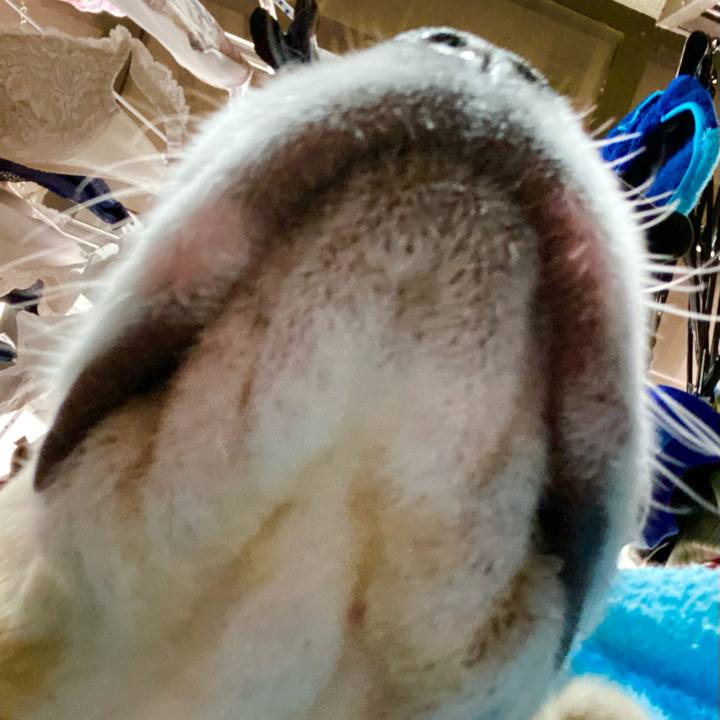 B32fdf01 73f2 4d37 beb4 93c8767515c2 1610423801287