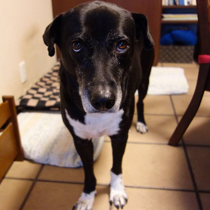 B32fe132 cc27 4076 a41c c646f398f2da 1732582336889