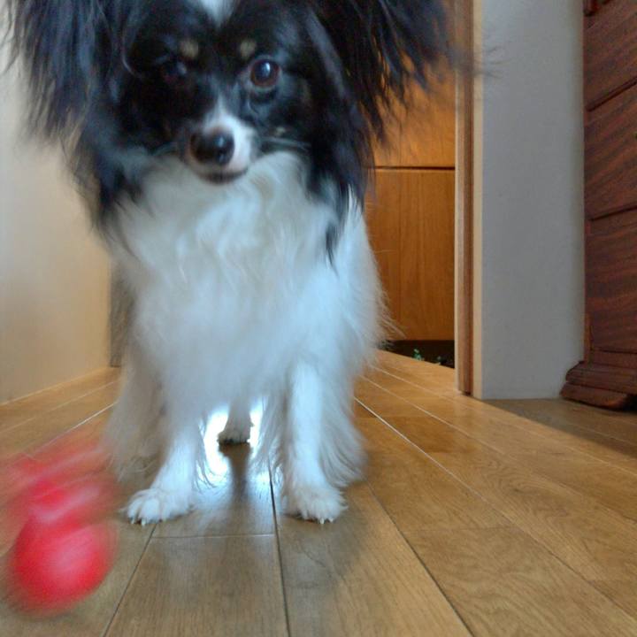 B32fe753 105b 4b62 9bd7 eb642fc2874d 1533461264760