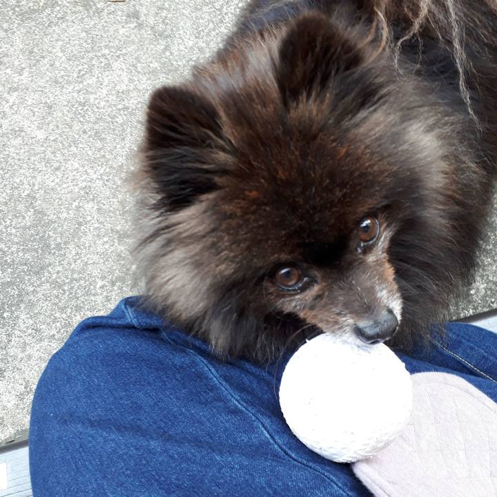 B3300606 ef98 4257 a04e 893c6d167de2 1519257543540