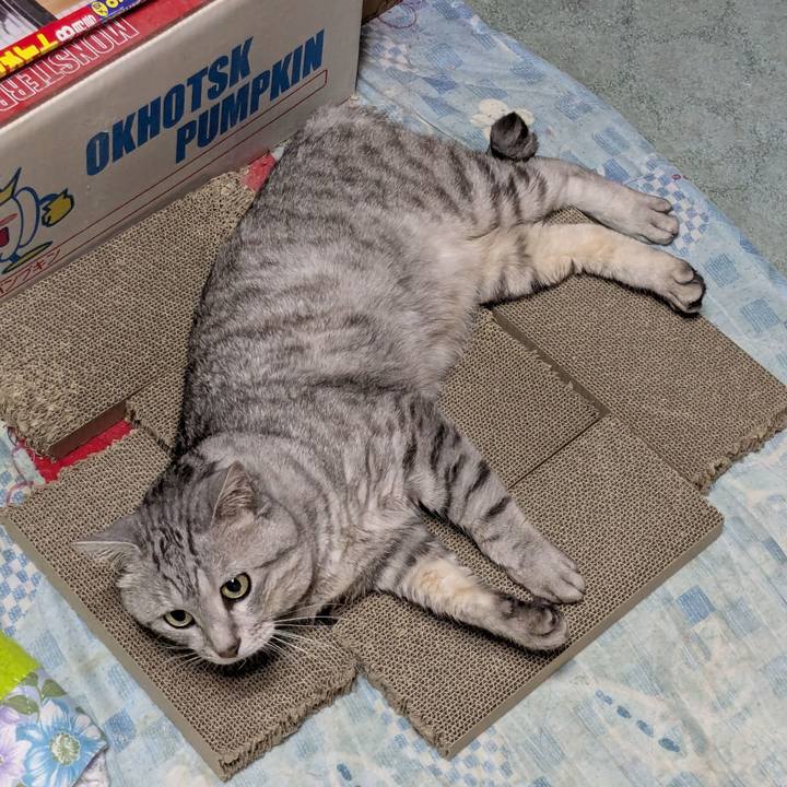 B3300f55 1ee5 447c 9add b0582b9169ac 1753181362871