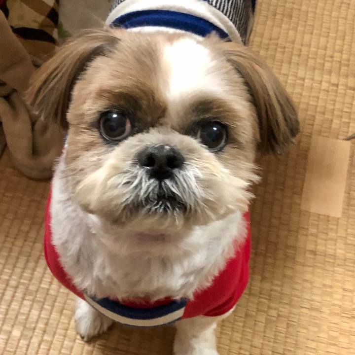 B3305936 eeec 413f 92ec 93c4bf263696 1584239655642