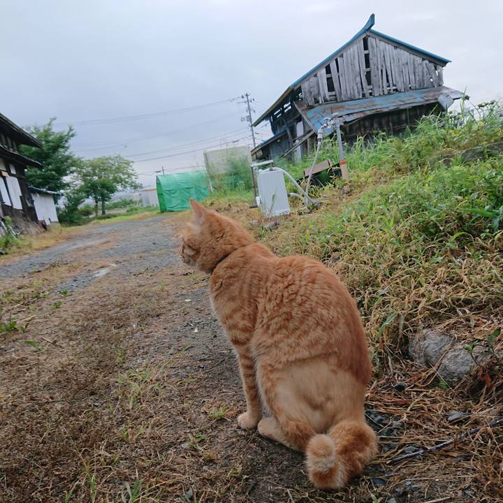 B330ae38 673f 4190 b879 1b3c56ace25c 1657659232135