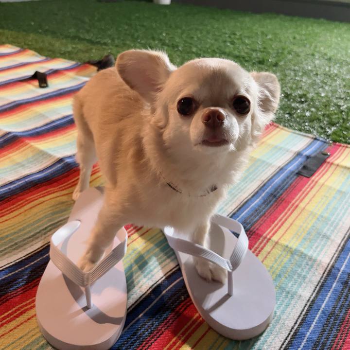 B330ef2c e9a6 4542 a1e1 028aec9325fa 1725629035420