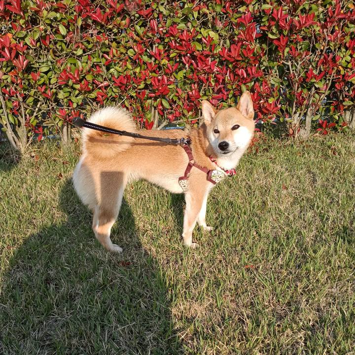 B330fd63 4b33 49ba 89e2 7d405a78a18e 1745653432633