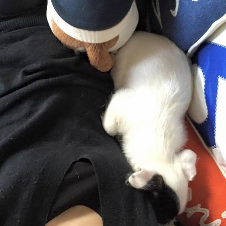 B3312c67 ad5d 4365 b6e9 fb2ba2192ff9 1676115090028