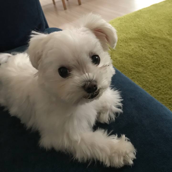 B3314283 a37f 4f89 ae7b 1af0b3f07fed 1512011855761