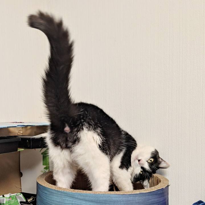 B3318384 8e37 4b2d bff9 e584964f5522 1771599188990