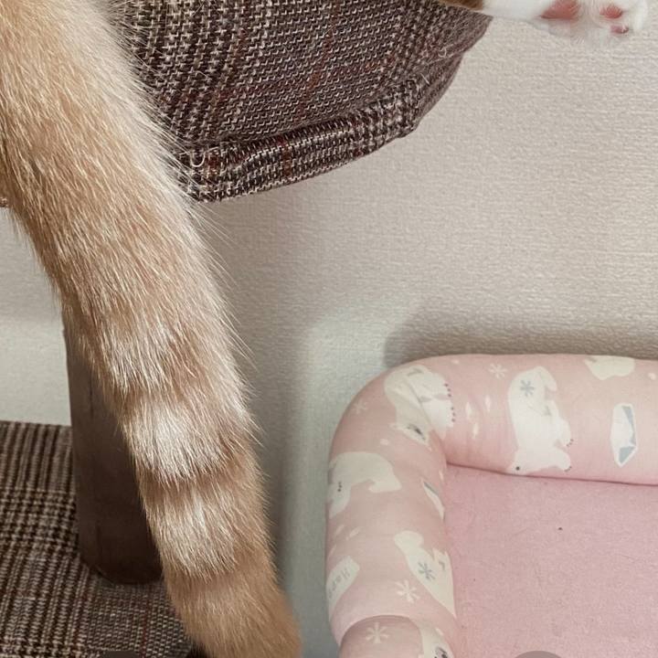 B331a4a4 e7fc 48ee 9ce2 8cdb485ab678 1680650146098