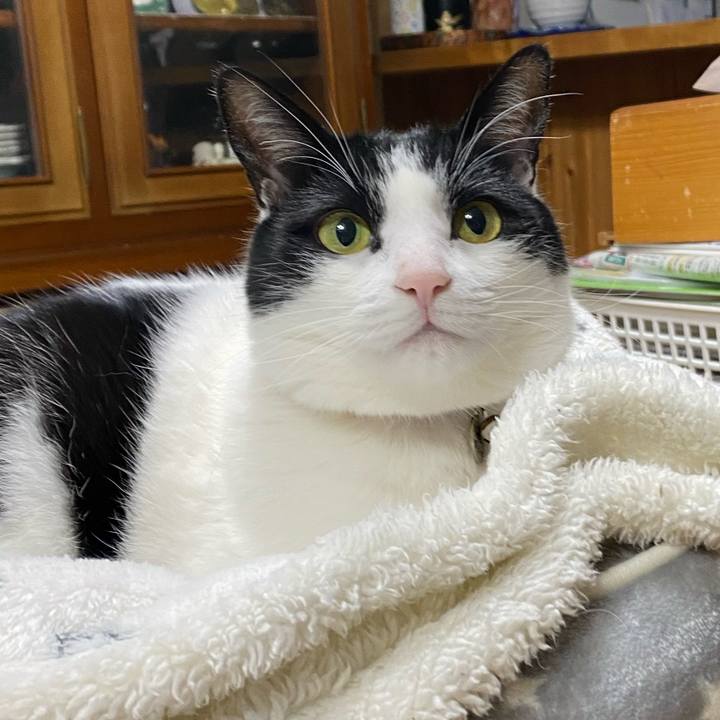 B331d707 90f5 44c3 906a b4d067da295b 1611011675048