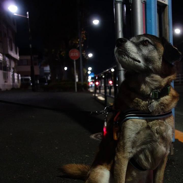 B331fd5f fbd8 40a9 b8d1 1bf9acbefd0a 1514890454806