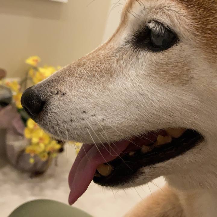 B3320a5f 9509 48c5 b572 87acfa144c53 1731920050467