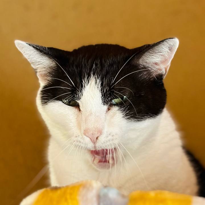 B3320c2e a428 482f b59c cd111b0960cb 1699668233920