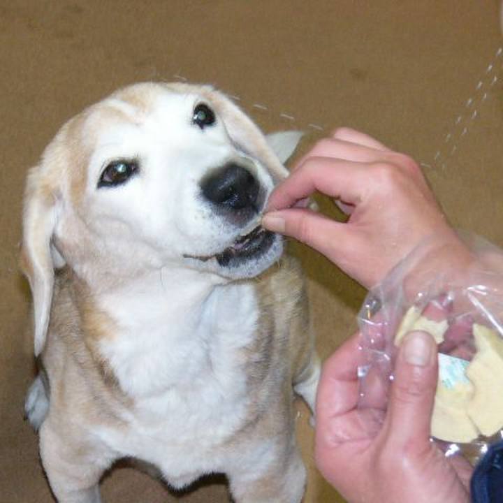 B33212eb e1c6 40ce 9d88 86976eb80335 1686089096398