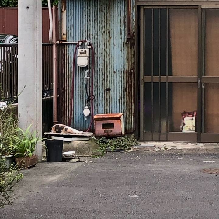 B3321b17 a05b 455d 8c0e 1ce021250619 1633427335822