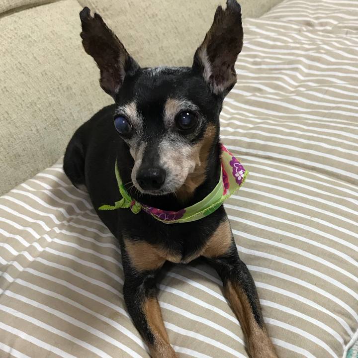 B3321f04 bdf4 49bd 8ded e22bd0cbaeae 1562336699482