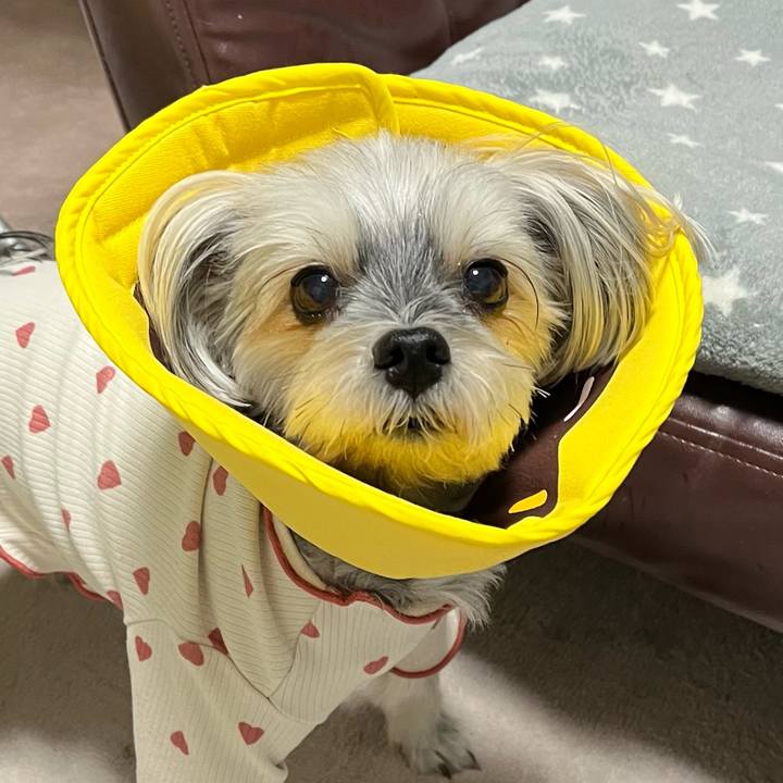 B332329c 2dfd 47cf aa87 4351e1aca800 1764293969361