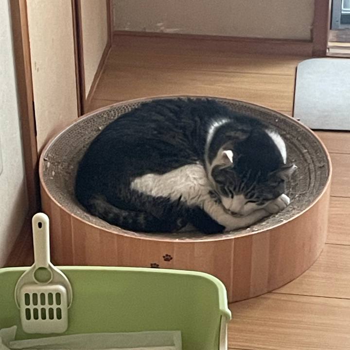 B33248a7 385e 4c59 89ee 365b5888619e 1714978936726